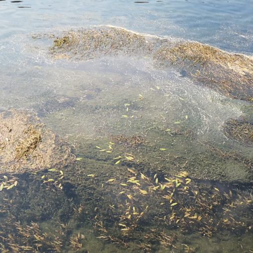 Siccità, il Piemonte domani chiederà l'allerta rossa: &quot;Altri Comuni a rischio stop notturno acqua&quot;