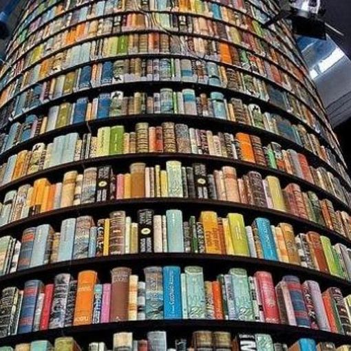 Cosa fare a Torino nel weekend: gli appuntamenti fino a domenica 21 maggio