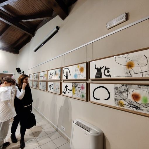 A casa Francotto di Busca inaugurata la mostra &quot;Joan Miró Genius loci. Sogno forza e materia&quot; [VIDEO]