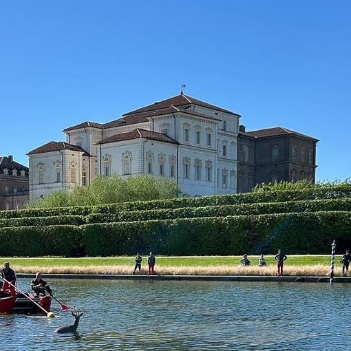 Un capriolo finisce in una grossa vasca a Venaria: portato in salvo dai pompieri
