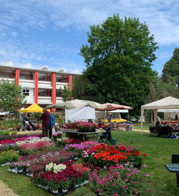 Fiori &amp; Vini 2023 a Carignano: mostra mercato
