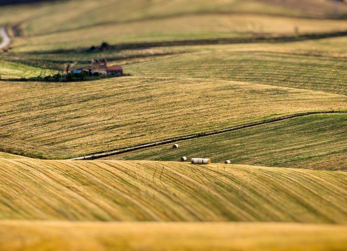 Psr Piemonte: 335mila euro per la conservazione del patrimonio vegetale locale in agricoltura