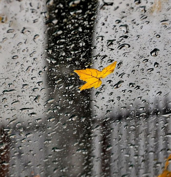 Meteo: ultimi giorni di clima autunnale, poi arriva l'onda fredda dell'inverno