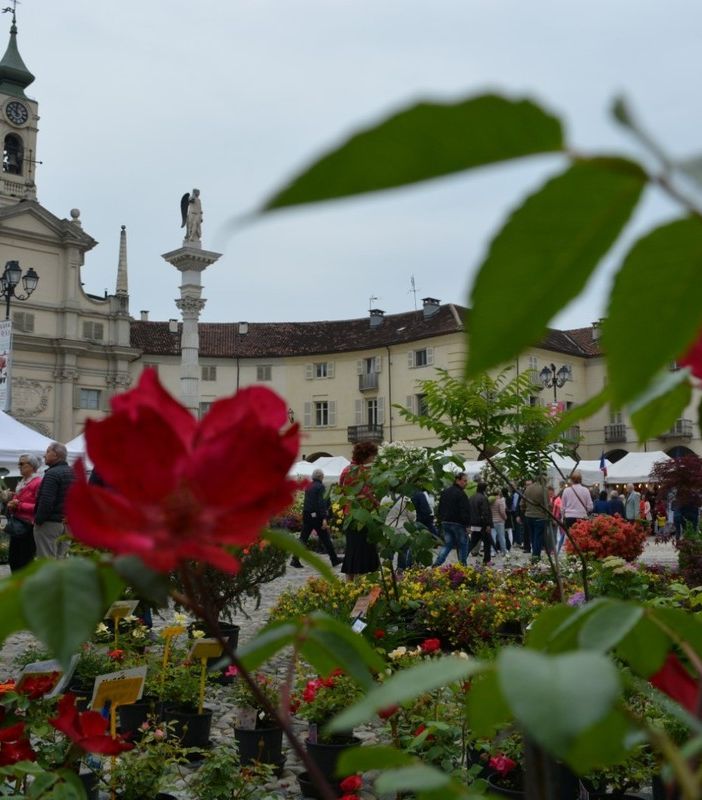 A Venaria Reale, un weekend di fiori e profumi con la Festa delle rose