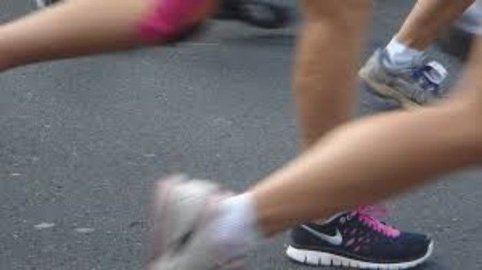 Collegno, Giornata Mondiale del Rene: una camminata nel Parco della Certosa per sensibilizzare i cittadii
