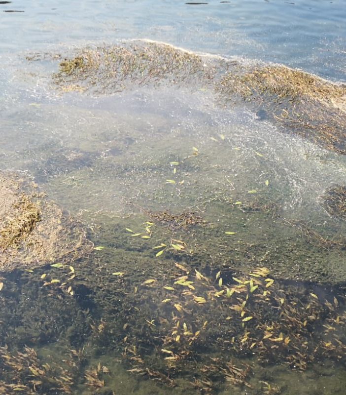 Siccità, il Piemonte domani chiederà l'allerta rossa: &quot;Altri Comuni a rischio stop notturno acqua&quot;