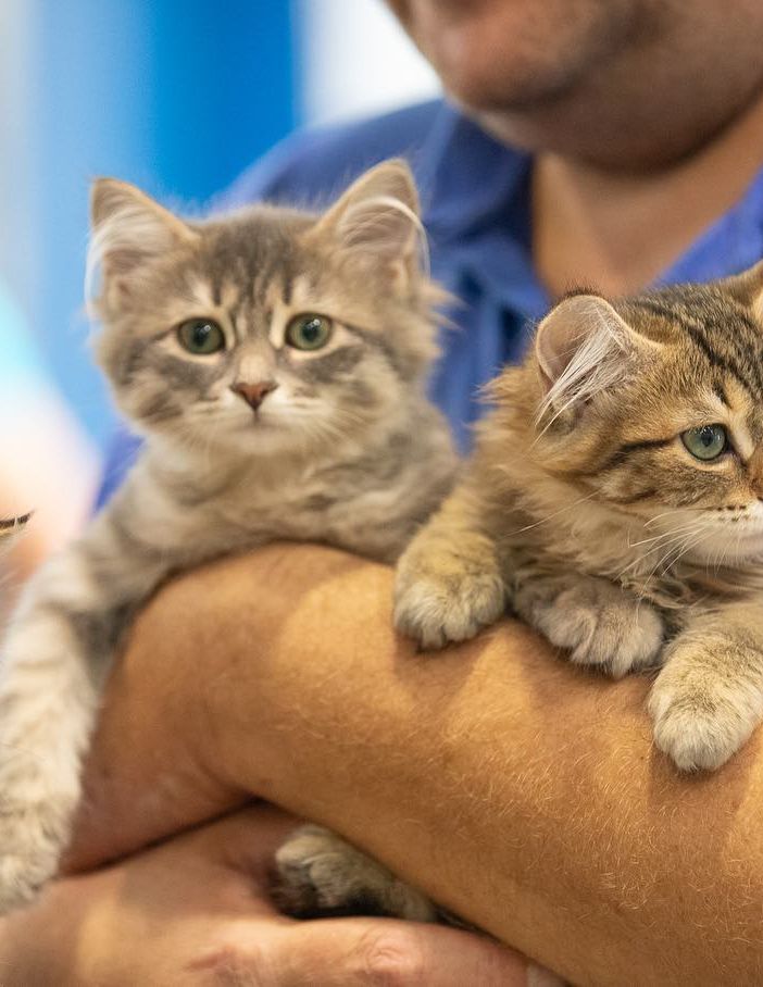 Si è concluso Petsfestival 2023 il “mondo degli animali” a Cremonafiere