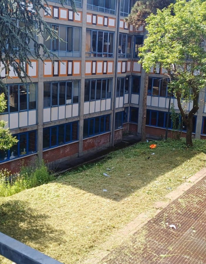Erba alta: appalto da 700mila euro per la manutenzione del verde nelle scuole