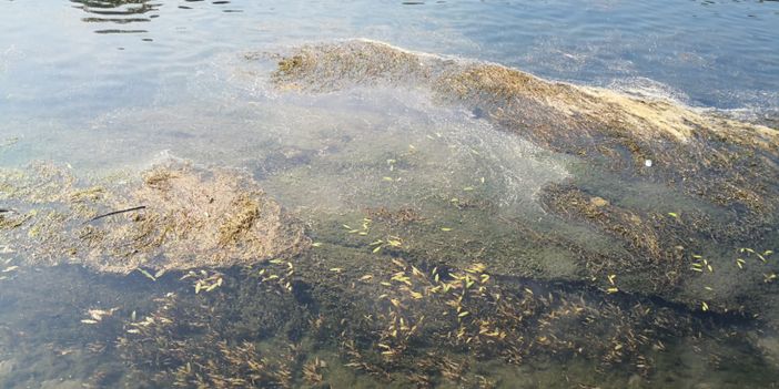 Siccità, il Piemonte domani chiederà l'allerta rossa: "Altri Comuni a rischio stop notturno acqua" Siccità, il Piemonte domani chiederà l'allerta rossa: "Altri Comuni a rischio stop notturno acqua"