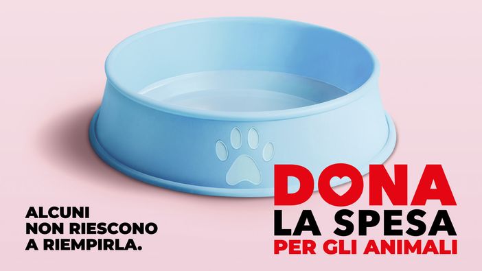 Sabato torna l'appuntamento con “Dona la Spesa per gli amici animali” Sabato torna l'appuntamento con “Dona la Spesa per gli amici animali”
