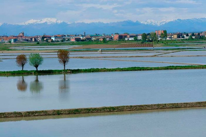 campo coltivato pieno d'acqua campo coltivato pieno d'acqua