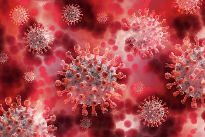 Coronavirus in Piemonte: mai così tanti morti nella seconda ondata. Ma continuano a calare i ricoveri Coronavirus in Piemonte: mai così tanti morti nella seconda ondata. Ma continuano a calare i ricoveri