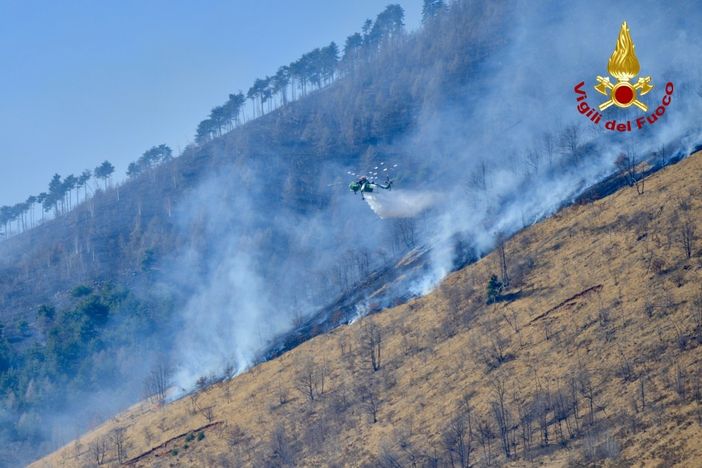 foto d'archivio foto d'archivio