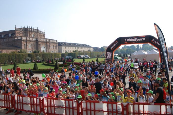 Sciame di calabroni imperversa a La Mandria durante la maratona