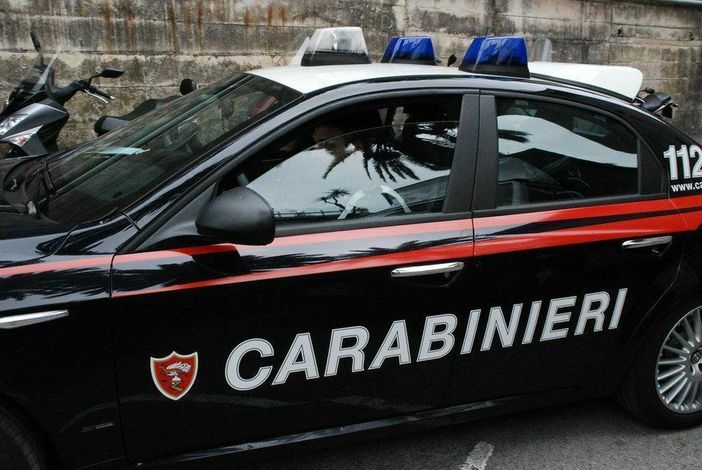 Rivoli, calci e pugni in un parco per un telefono: 14enne fermato e portato in carcere minorile Rivoli, calci e pugni in un parco per un telefono: 14enne fermato e portato in carcere minorile