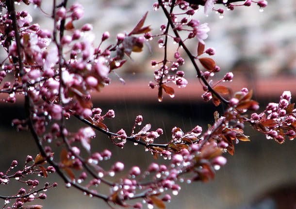 Scendono nuovamente le temperature, ma da giovedì cambia tutto Scendono nuovamente le temperature, ma da giovedì cambia tutto