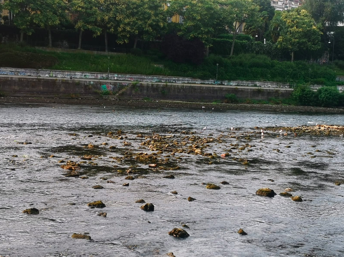 po in siccità - foto d'archivio po in siccità - foto d'archivio