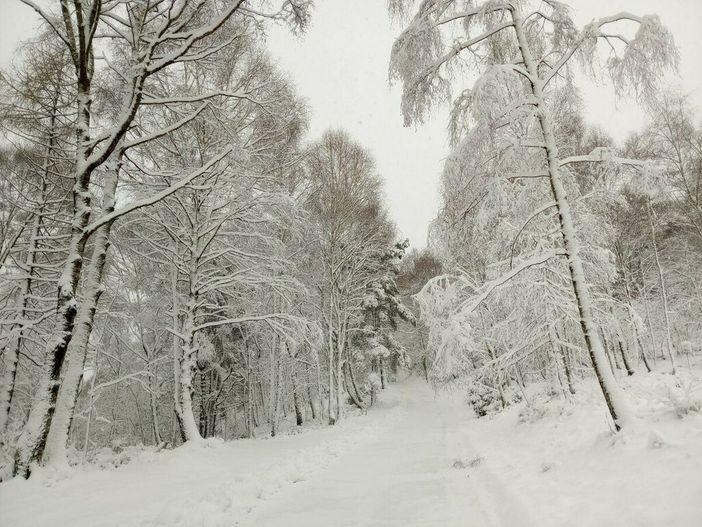 Meteo: continua il freddo e vento sulle pianure, neve sulle Alpi