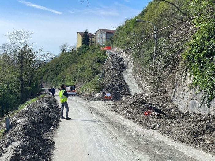 Boschi, fiumi e sentieri: il Piemonte vara il piano forestale da 312 operai per prevenire frane e alluvioni