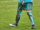 Follia su un campo di calcio di Venaria, nei giorni scorsi Follia su un campo di calcio di Venaria, nei giorni scorsi