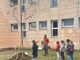 Un nuovo albero per la scuola primaria Anna Frank di Druento