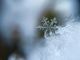 Foto di Aaron Burden - tramite Unsplash Foto di Aaron Burden - tramite Unsplash