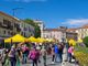 Giornata della Terra a Rivoli: l'iniziativa dedicata ai prodotti locali e alla salvaguardia dell’ambiente Giornata della Terra a Rivoli: l'iniziativa dedicata ai prodotti locali e alla salvaguardia dell’ambiente
