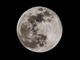 Occhi al cielo martedì 7 marzo per la Luna piena del Verme, che annuncia la primavera
