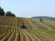 L'agricoltura piemontese faccia a faccia col Covid e l'inverno più caldo degli ultimi 63 anni, &quot;ma non abbiamo mai fatto mancare il cibo alle persone&quot;