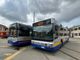 La flotta piemontese degli autobus si rinnova, stanziati 10 milioni per l'acquisto di nuovi mezzi