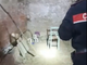 L'orrore nella cascina di Rivoli: convalidati i fermi per i minorenni accusati di aver legato, picchiato e ricattato un 56enne [VIDEO]