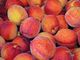 &quot;La vuoi questa frutta? È un affare &quot;: a Pianezza in manette due truffatori