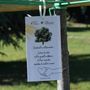A Grugliasco c'è ancora tempo per "Dona un albero 2026" A Grugliasco c'è ancora tempo per "Dona un albero 2026"
