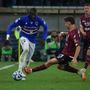 Sampdoria-Salernitana: orario, probabili formazioni e dove vederla in tv