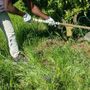 Caldo, Rebuzzi: &quot;Può uccidere, impedire lavoro all'aperto nella morsa dell'afa&quot;
