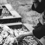 Genocidio, cosa significa: origine e storia del termine