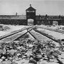 Grugliasco, Promemoria Auschwitz: al via le iscrizioni