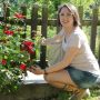 La rosa simbolo del mese di maggio