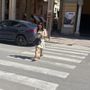 Occhio allo smartphone sulle strisce: il nuovo Codice della Strada potrebbe costare 75 euro ai pedoni Occhio allo smartphone sulle strisce: il nuovo Codice della Strada potrebbe costare 75 euro ai pedoni