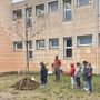 Un nuovo albero per la scuola primaria Anna Frank di Druento
