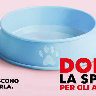 Sabato torna l'appuntamento con “Dona la Spesa per gli amici animali”