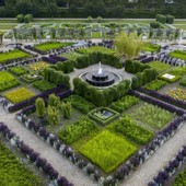 Le siepi e la fontana nei giardini di Venaria Reale Le siepi e la fontana nei giardini di Venaria Reale