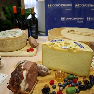 Etichettatura DOP e IGP: più trasparenza per i consumatori, più valore per le filiere agricole