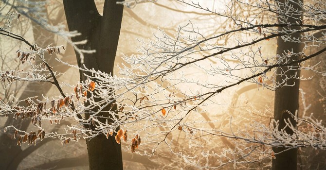 Foto di Ales Krivec - tramite Unsplash