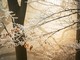 Foto di Ales Krivec - tramite Unsplash Foto di Ales Krivec - tramite Unsplash