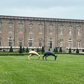 Il Bestiario di Luigi Mainolfi invade gli spazi della Reggia di Venaria
