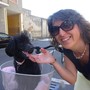 Cane che abbaia non morde… ma disturba i vicini di casa