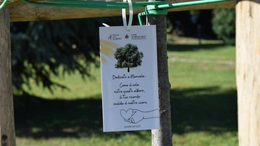 A Grugliasco c'è ancora tempo per "Dona un albero 2026"