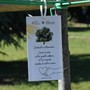 A Grugliasco c'è ancora tempo per "Dona un albero 2026"