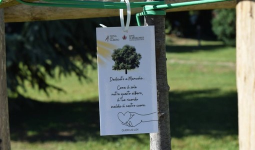 A Grugliasco c'è ancora tempo per "Dona un albero 2026" A Grugliasco c'è ancora tempo per "Dona un albero 2026"